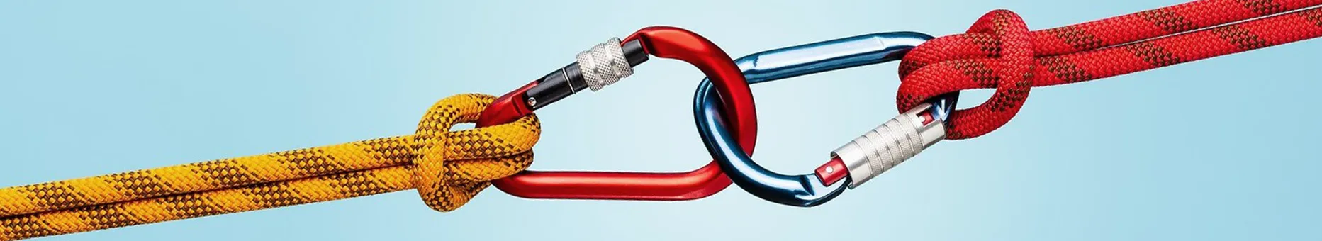 Screwgate/Locking Carabiners
