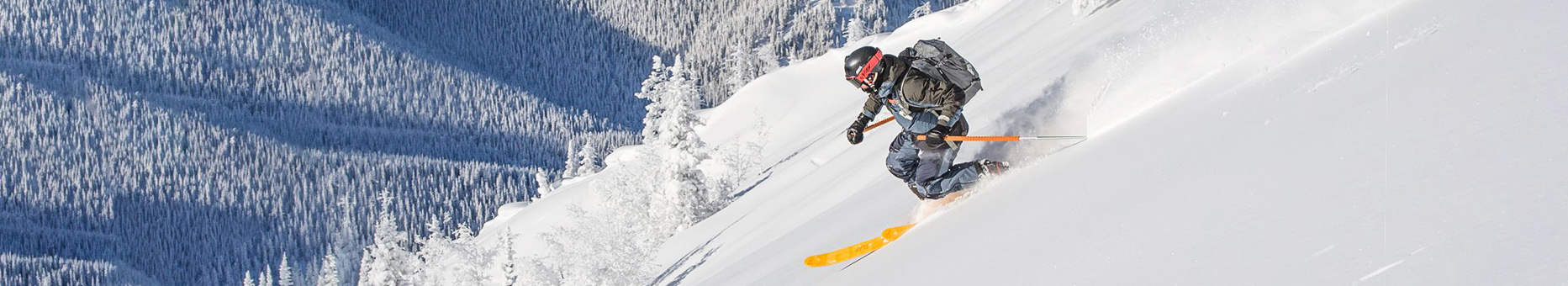 Pack esquí + fijación Telemark