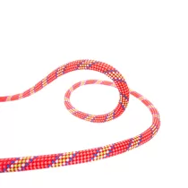 Beal Tiger 10mm Golden Dry - 2
