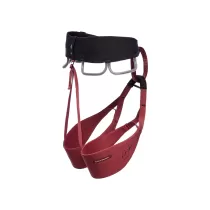 Black Diamond Solution Donna Babsi Edition - Cherrywood - 1