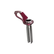 Blue Ice Aero Ice Screw - 5