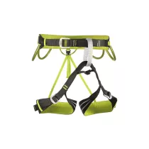  Camp Alpine Flash - Vert