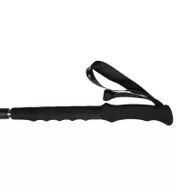 Camp Laser ADJ Donna - 2