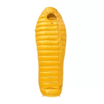 Pajak Radical 1Z - Gold - 1