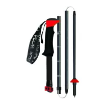 Plum Hybrid Carbon XTL - 1