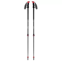 Plum Trail Tour FL Carbon EF