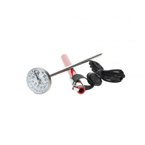 BCA Analog Thermometer