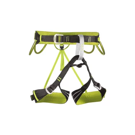 Camp Alpine Flash - Vert