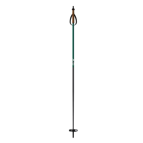 One Way BC Mountain Ski Poles