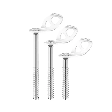 Petzl Laser