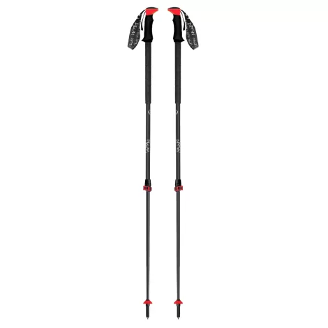 Plum Trail Tour FL Carbon EF