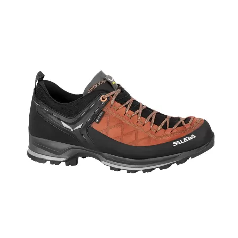 Salewa MTN Trainer 2 GTX - Autumnal/Black