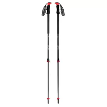Plum Trail Tour FL Carbon EF